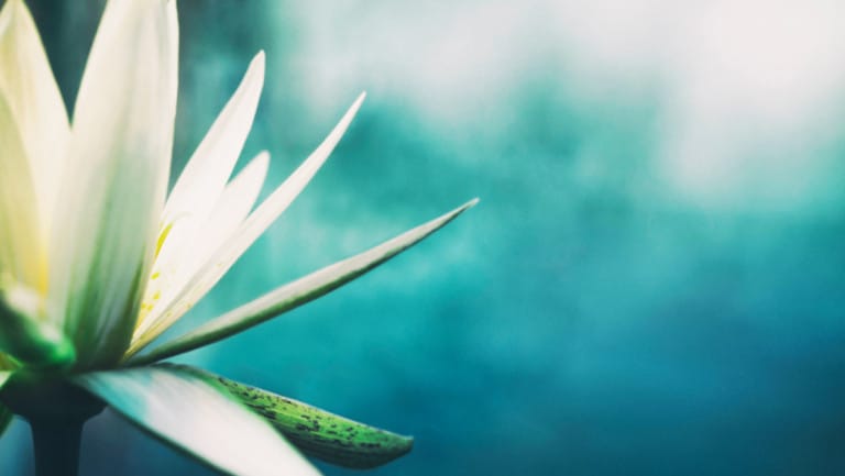 Leia o artigo Origem da Umbanda