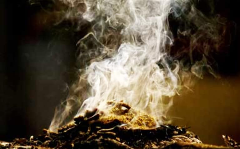 Leia o artigo Atrair prosperidade e fartura com defumação em sua casa