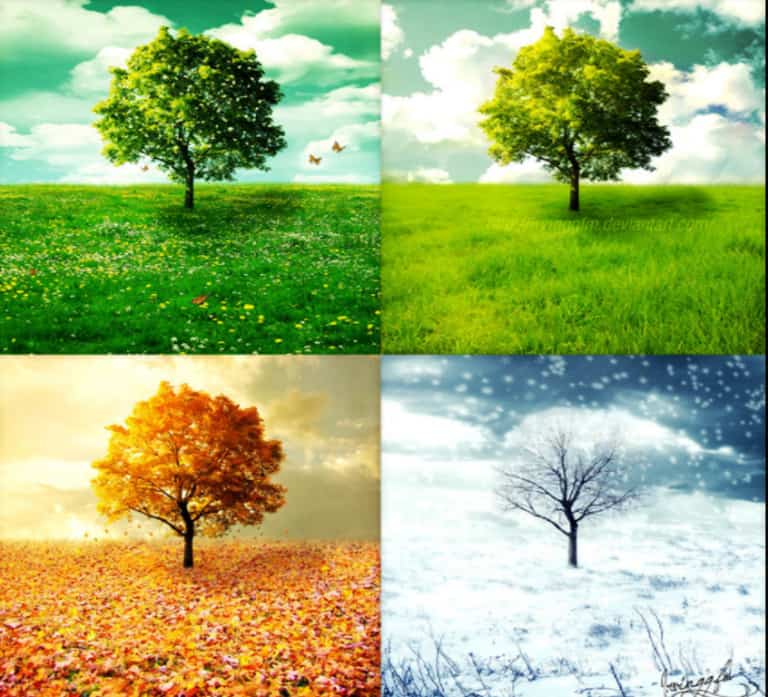 Leia o artigo Personalidade: a estação em que você nasceu importa, segundo a ciência