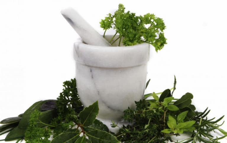 Leia o artigo Ervas aromáticas