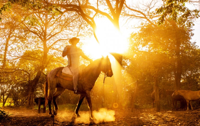 Leia o artigo Boiadeiros na Umbanda: Orações