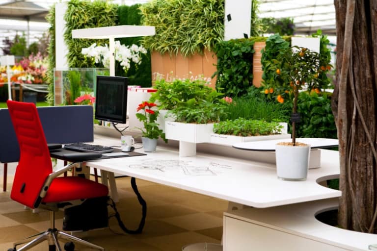 Leia o artigo Plantas no escritório e para a casa: benefícios