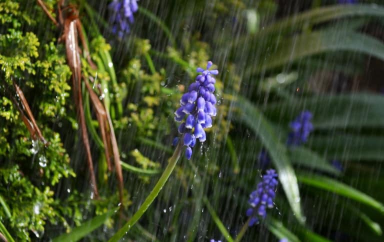 Leia o artigo Banhos de limpeza para descarregar energias ruins