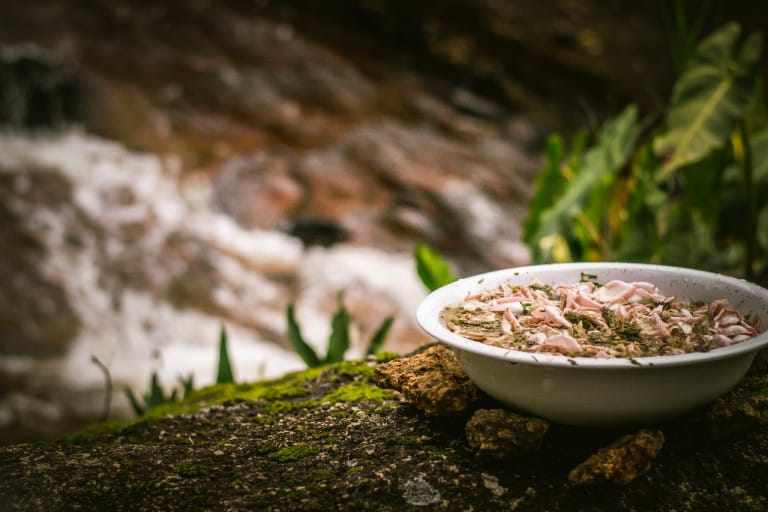 Leia o artigo Oferenda na Umbanda: uma visão mágica dos seus fundamentos