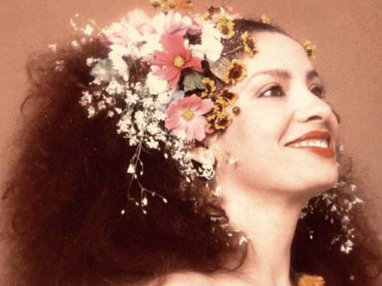Leia o artigo Clara Nunes é tema de livro e samba enredo