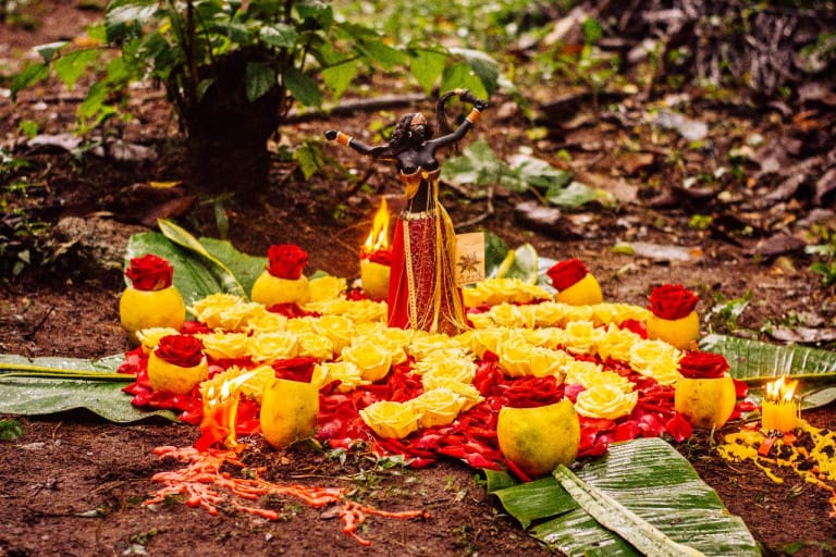 Leia o artigo Oferendas e Entregas: relação com a natureza
