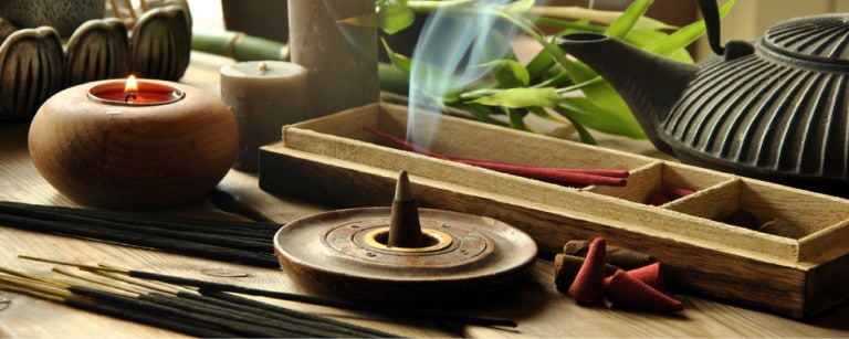 Leia o artigo Ervas para tranquilidade e paciência