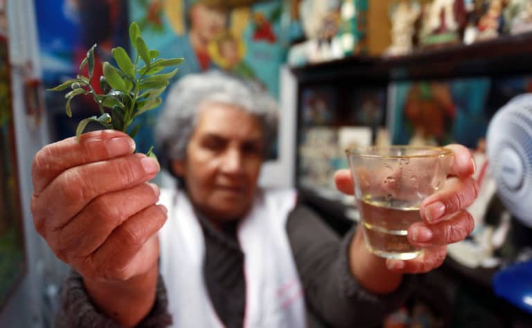 Leia o artigo Benzedeiras: sabedoria e poder das ervas