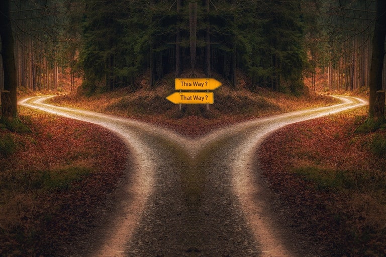 Leia o artigo Livre-arbítrio: as entidades podem interferir em nossas escolhas?